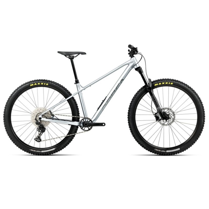 Bicicleta Orbea LAUFEY H30 Smooth Silver (Matt) - Titanium (Gloss) 2026