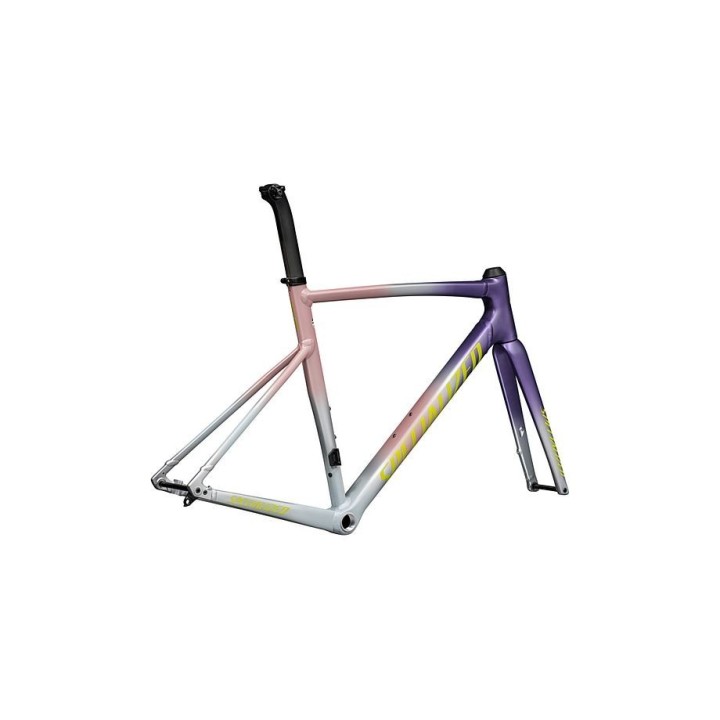 Cuadro Specialized Allez Sprint Satin Dusty Pink Multicolor Radial Fade / Ion Metallic 2026