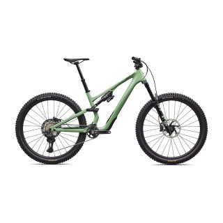 Vélo Specialized Stumpjumper 15 Evo Expert Di2 Gloss Pistachio / Dark Moss Green 2026