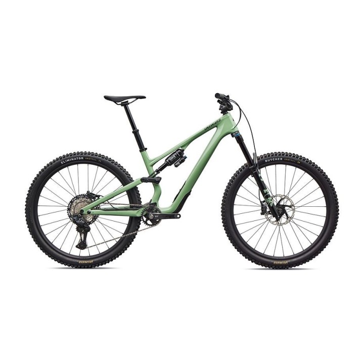 Bicicleta Specialized Stumpjumper 15 Evo Expert Di2 Gloss Pistachio / Dark Moss Green 2026