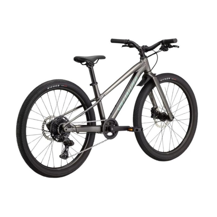Vélo Specialized Riprock 24 Gloss Smoke / Fjord Metallic