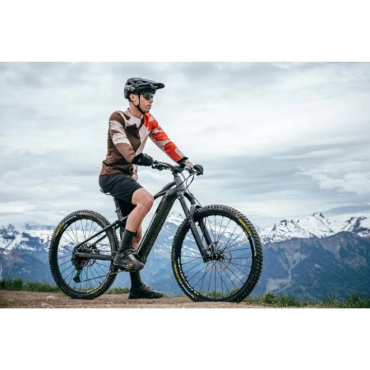 Jeu de roues Mavic E-Deemax S 29 CL
