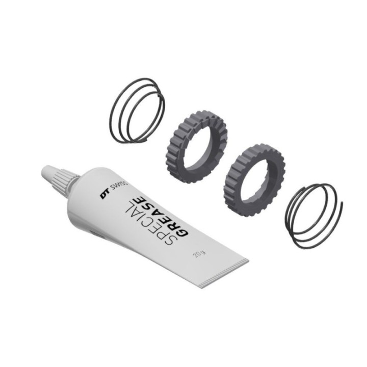 Service kit Trinquetes Dt Swiss Ratchet 18 dientes|Recambios Bujes