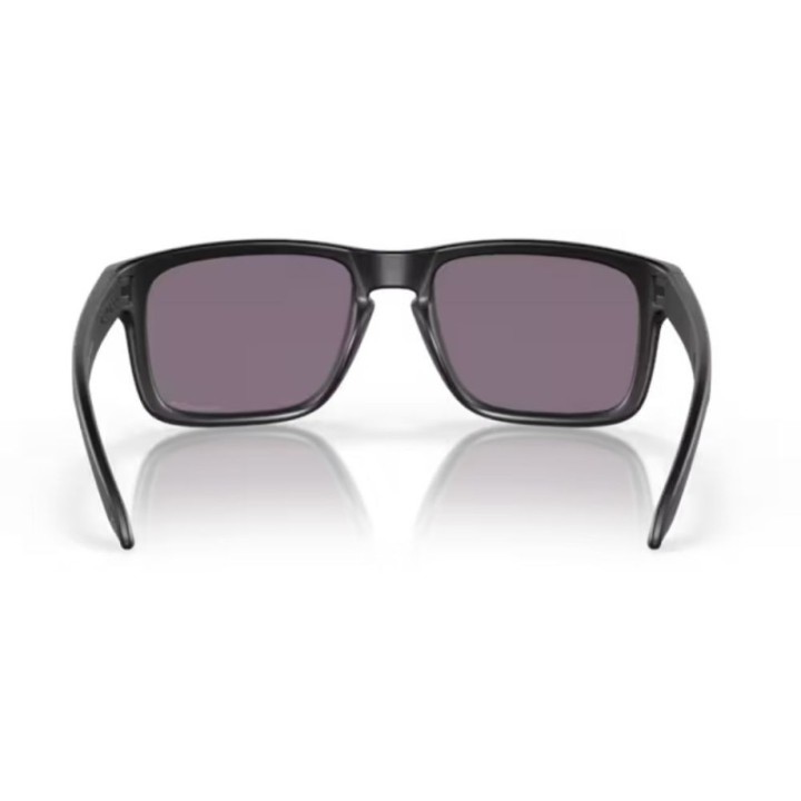 Gafas Oakley Holbrook Lentes prizm grey/Montura matte black