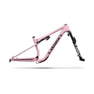 Cuadro Specialized S-Works Epic 9 Gloss Amethyst Frost Multi Color