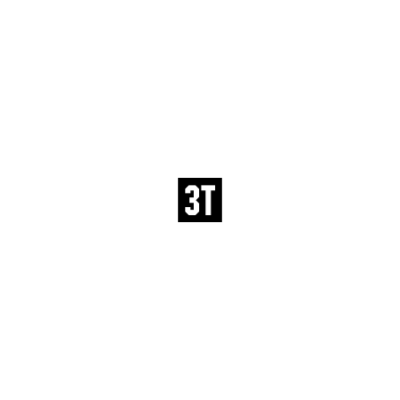 3T